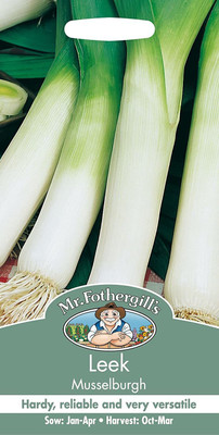 CYBEXIS Vegetable - Leek Musselburgh Seeds1000 Seeds Seed(1000 per packet)