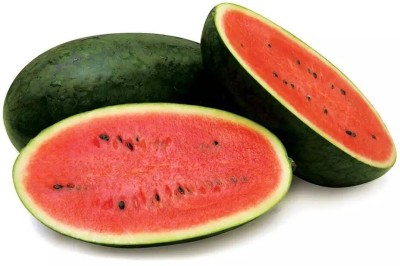 Quentova Super sweet watermelon/तरबूज के बीज-DLX-8T Seed(100 per packet)