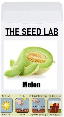 CYBEXIS Organic Vegetable Seeds-Sweet Melon400 Seeds Seed(400 per packet)