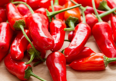 KNESSiN Easy to Grow Apache Hot Chilli Vegetable Seeds for Garden-(1200 Seeds) Seed(1200 per packet)