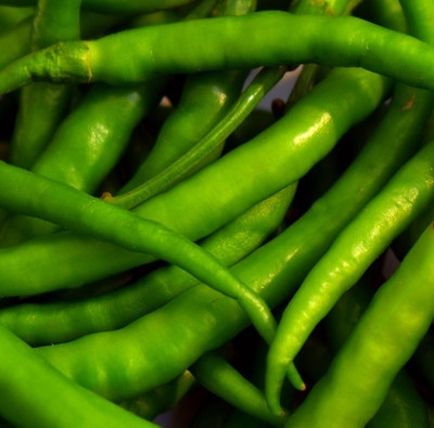 granthi Green Long Pepper Chili Seed(2000 per packet)