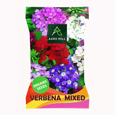 AGRO MILL VERBENA/VERVAIN MULTIFLORA MIXED PREMIUM QUALITY FLOWER Seed(50 per packet)