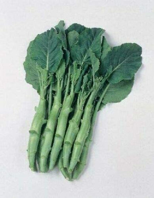 CYBEXIS Seeds of Vegetable Chinese Kale Kailaan Oriental2000 Seeds Seed(2000 per packet)