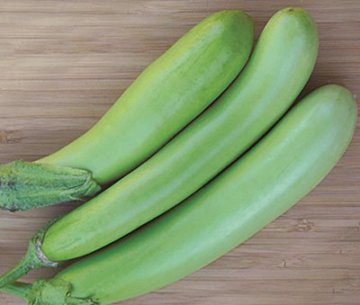 KANAYA Brinjal Green Long Seeds Kitchen Garden Vegetable Seed(500 per packet)