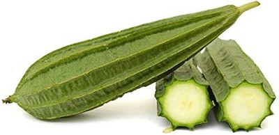 Aywal luffa seeds, smooth Ridge gourd Seed(100 per packet)