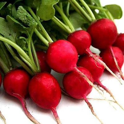 Aywal Mooli Seeds - (Red Round Radish) Seed(20 per packet)