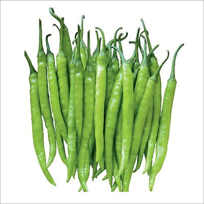 Aywal Green Chilli Indian हरी मिर्च Seed(4000 per packet)