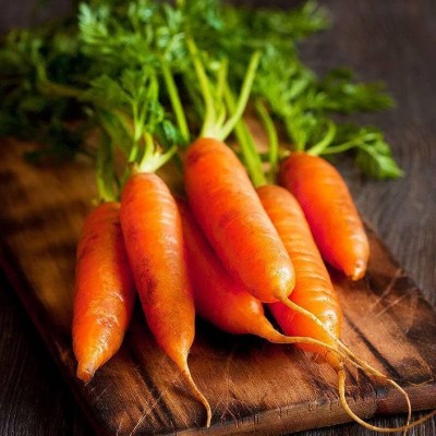 BJUBAS Carrot seeds pack of 100 Seed(100 per packet)