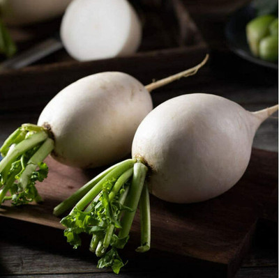 CYBEXIS Hybrid White Radish Seeds Non-GMO Heirloom600 Seeds Seed(600 per packet)