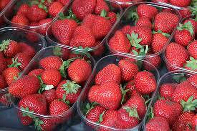 XOLDAA XOLDAA F1quality hybrid strawberry seeds Seed(65 per packet)