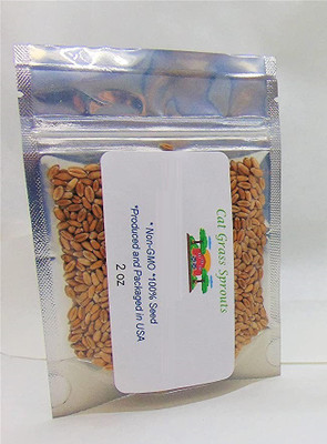 CYBEXIS PUAS-26 - Hard Red Winter Wheat - (22500 Seeds) Seed(22500 per packet)