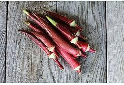 BDSresolve Red okra f1 hybrid vendi seeds pack of 20 Seed(20 per packet)