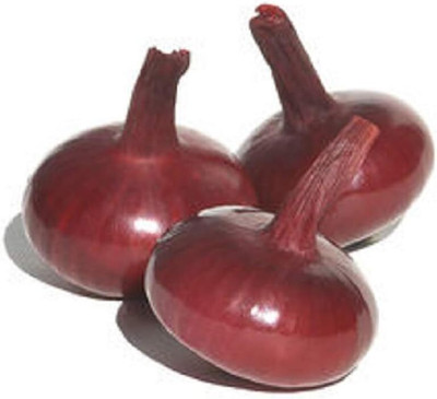 Qualtivate RES-3A Onion Long-Day Red Marble Seed(500 per packet)
