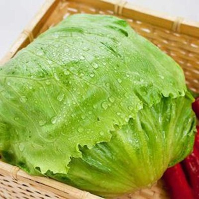 CYBEXIS Sweet Lettuce Lactuca Seeds1000 Seeds Seed(1000 per packet)