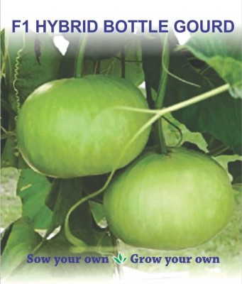 Qualtivate RES-6A Round Bottle Gourd Bulb Seed(50 per packet)