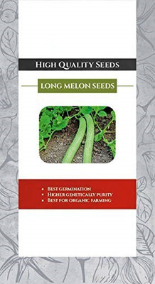 CYBEXIS GBPUT-27 - Hybrid Long Melon - (1350 Seeds) Seed(1350 per packet)