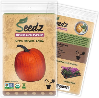 Qualtivate PUAS-3A Howden Pumpkin, Heirloom Seeds Seed(50 per packet)