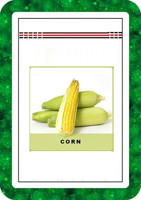 CYBEXIS Corn/Makka-250 Seeds Seed(250 per packet)
