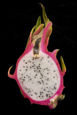 Oliver hybrid dragon fruit Seed(75 per packet)