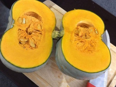 CYBEXIS Prince Pumpkin Squash Organic Heirloom Grey400 Seeds Seed(400 per packet)