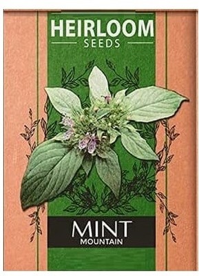 Biosnyg Mint Mountain-[1000 Seeds] Seed(1000 per packet)