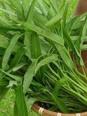 Seedsqlty kalmi seeds Seed(1000 per packet)