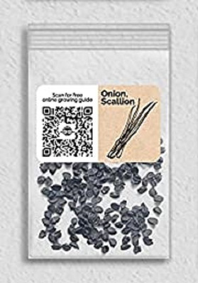 WILLVINE Organic F1 Hybrid Onion Scallion-5000 Seeds Seed(5000 per packet)