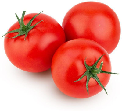 Quentova Tomato-CTU-11X Seed(250 per packet)
