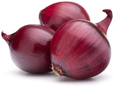 WATIKA Red Karmen Onion Seed(200 per packet)