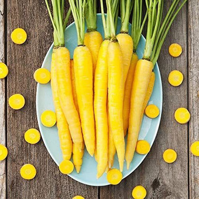 VibeX ® RXI-82 Solar Yellow Carrot Seeds Seed(500 per packet)