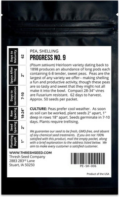 WILLVINE NBIR-600 Progress No. 9 Shelling Pea Seed(50 per packet)
