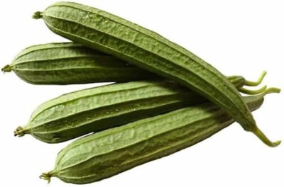 Qualtivate RES-7A Angled Gourd/Ridge Gourd Seeds Seed(50 per packet)