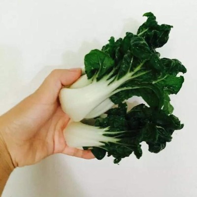 KNESSiN Cabbage Dwarf Pak Choi Seed(200 per packet)