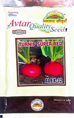 KRASHAK Turnip shalgam Seed(2 per packet)