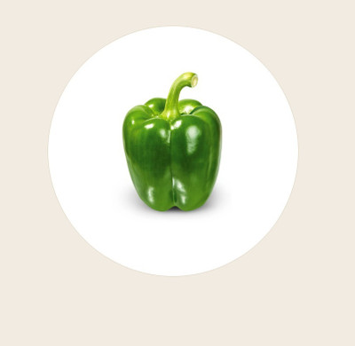 Quentova Organic Green Capsicum-11A-NDIR Seed(100 per packet)