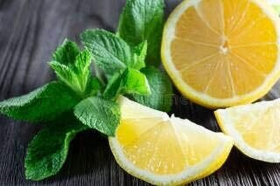 CRGO LEMON , NIMBU Seed(30 per packet)