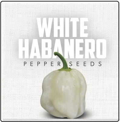 Biosnyg Hybrid White Habanero Hot Pepper Vegetable Seeds For Gardening-(2000 Seeds) Seed(2000 per packet)