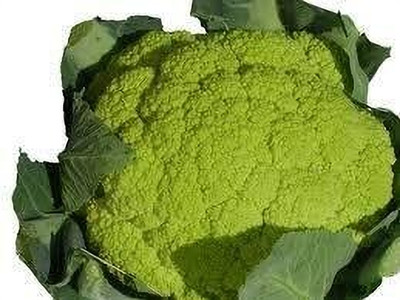 Aywal High Germination Green Cauliflower Vegetable Seed(35 per packet)