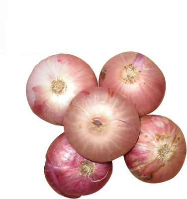 Quentova Sweet Onion-SNIG-11S Seed(200 per packet)