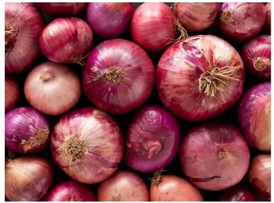 KEROS Nasik Vegetable Onion Seed(300 per packet)
