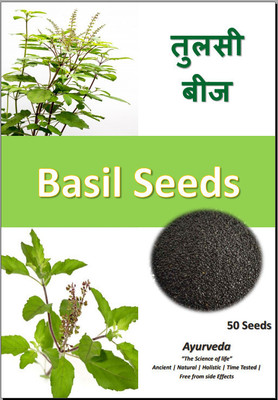 Shiv-Shakti Group Tulsi, Holy Basil, Tukhme Rehan, Edible Beej Tulsi, Ocimum Sanctum Seed(50 per packet)