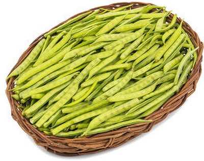 XOLDAA CLUSTER BEANS SEEDS Seed(25 per packet)