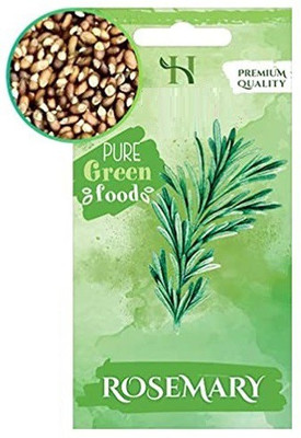 CYBEXIS F1 Hybrid Herbs Seeds-Rosemary800 Seeds Seed(800 per packet)
