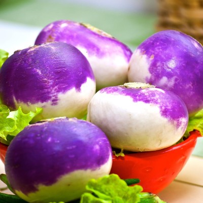 KNESSiN Turnip Purple TOP seeds Seed(200 per packet)