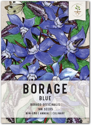 CYBEXIS PUAS-77 - Blue Borage Herb - (1350 Seeds) Seed(1350 per packet)