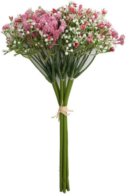 Aywal Gypsophila Gypsy Deep Rose Flower Seed(2 g)