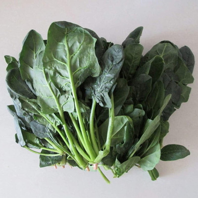 CYBEXIS Organic Spinach Seeds 2000 Seeds Seed(2000 per packet)