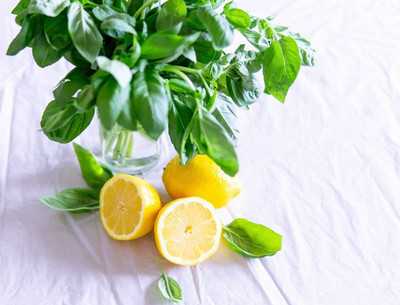 VibeX ® VMR-20 Lemon Basil Herb Seeds Seed(1000 per packet)