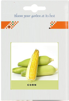 CYBEXIS Corn2000 Seeds Seed(2000 per packet)