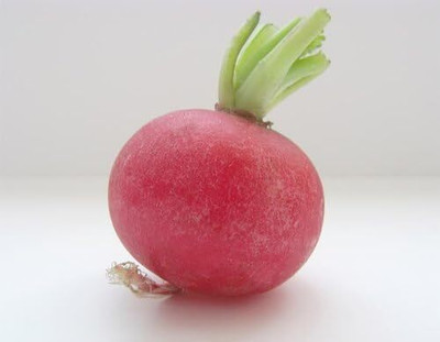 Qualtivate ICRA6-A Crimson Giant Radish Seed(300 per packet)